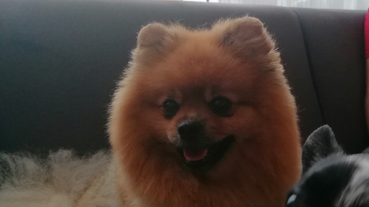 Bailey