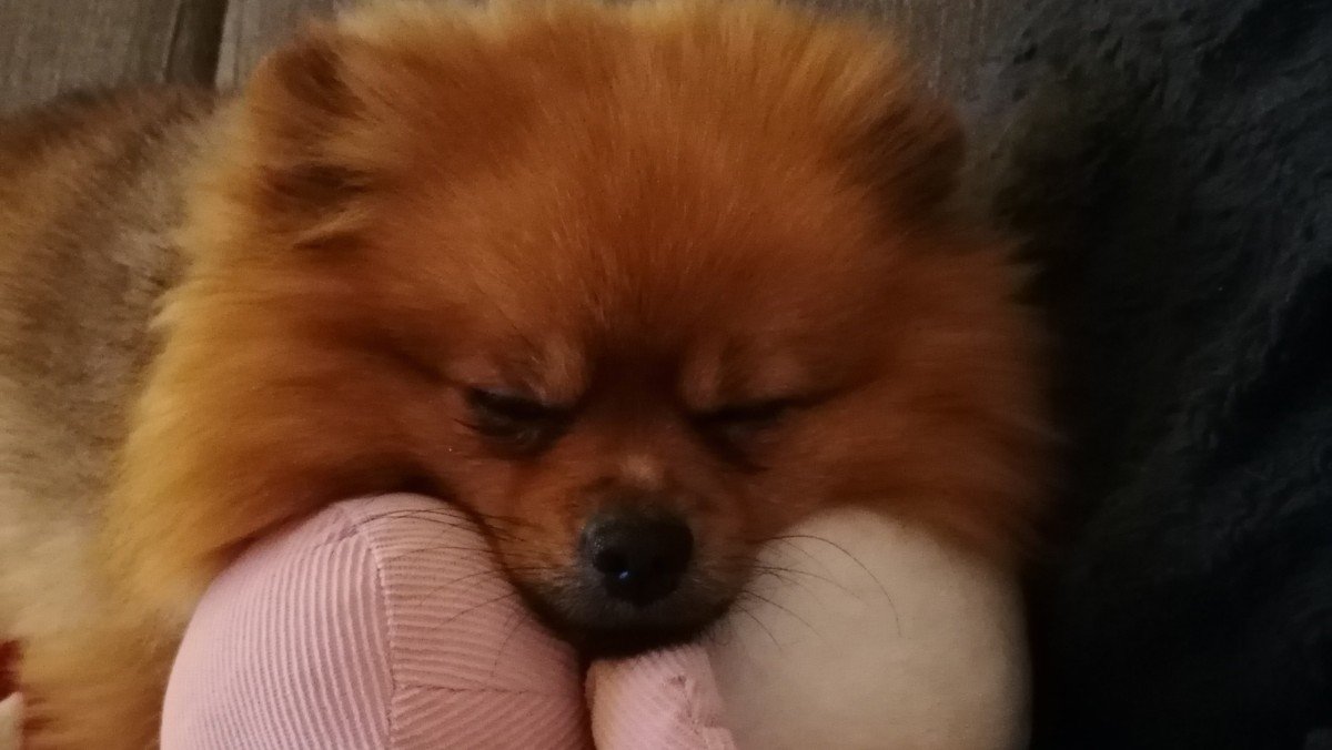 Bailey