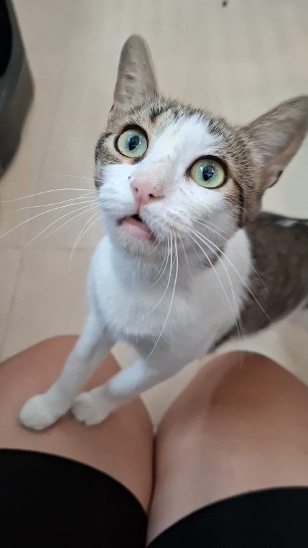 Bruma