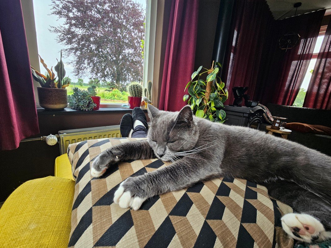 Pip