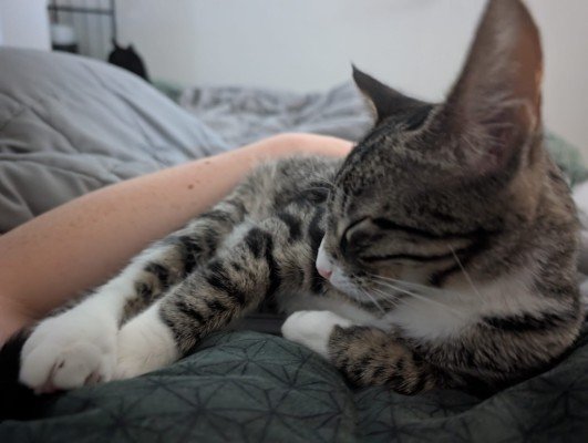Hera