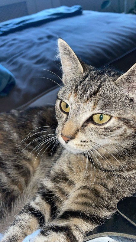 Lilou