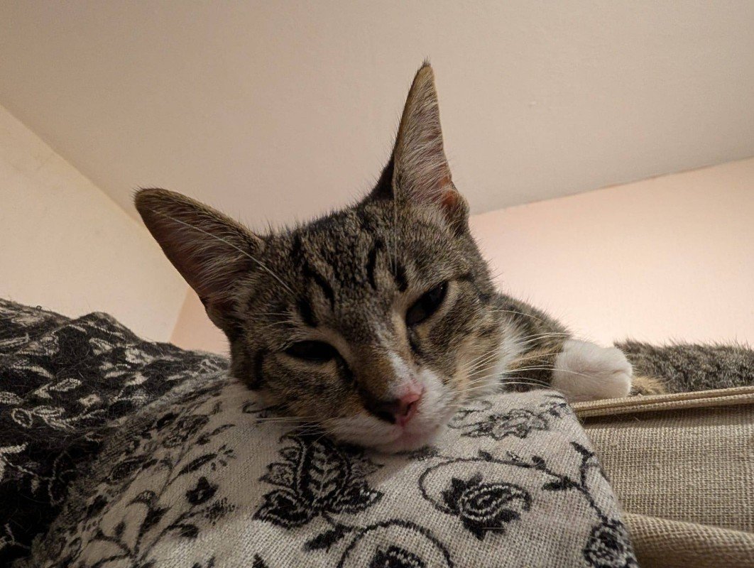 Freya