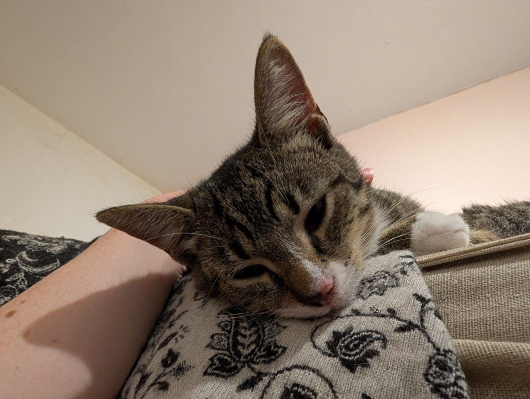 Freya