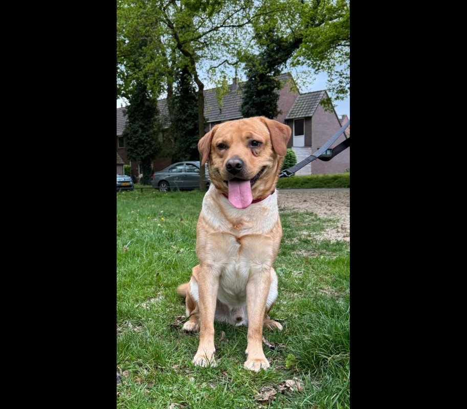 Odin