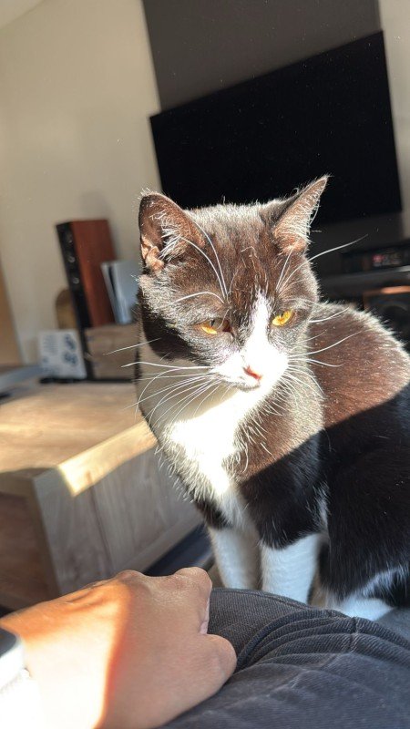 Luna