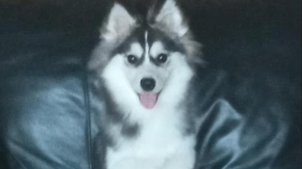 Reeva
