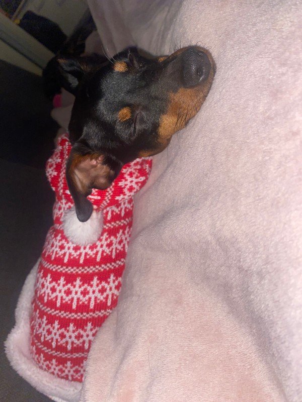 Paco