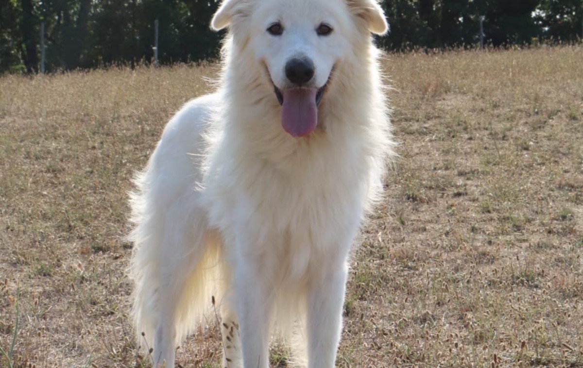 Zeus