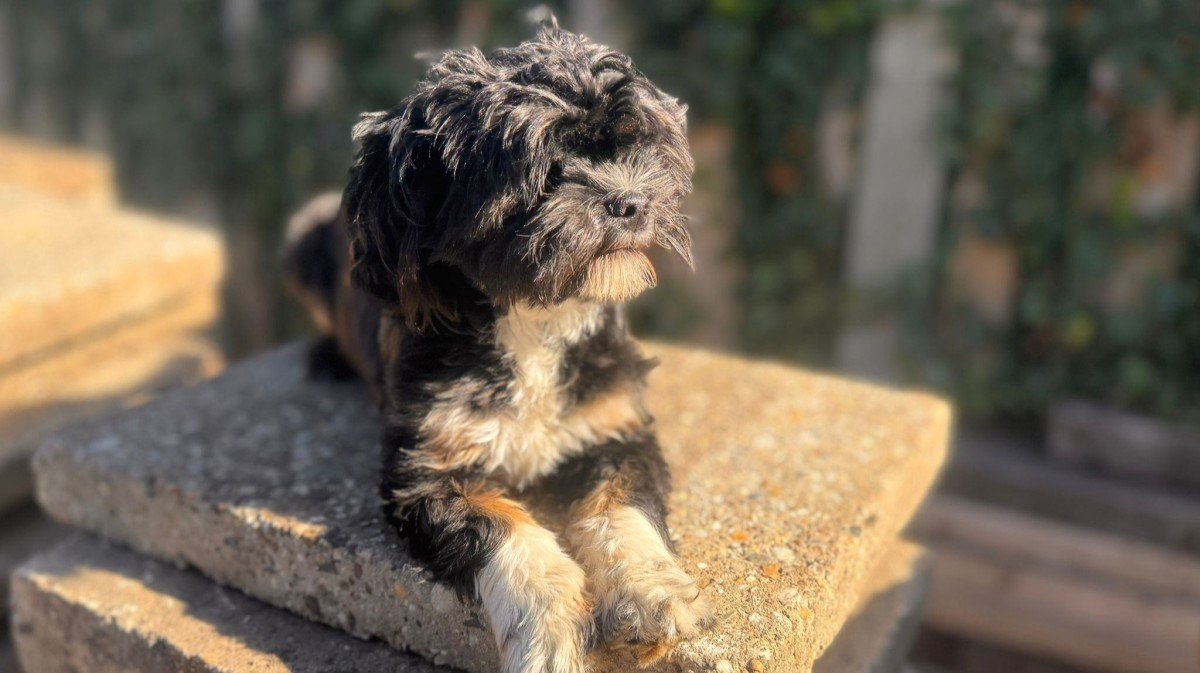 Peggy