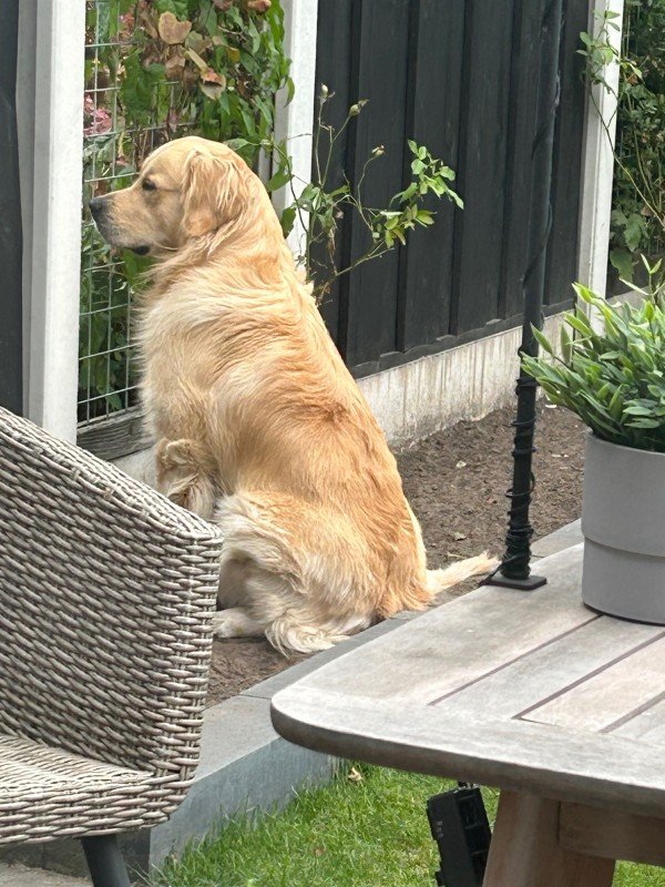 Charlie