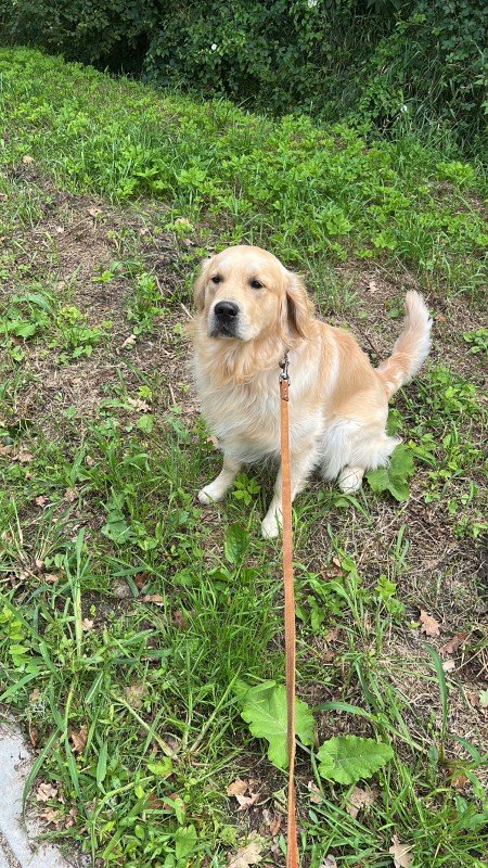 Charlie