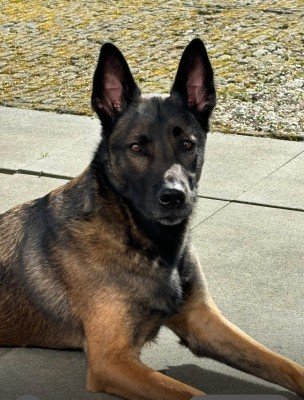 Baloe