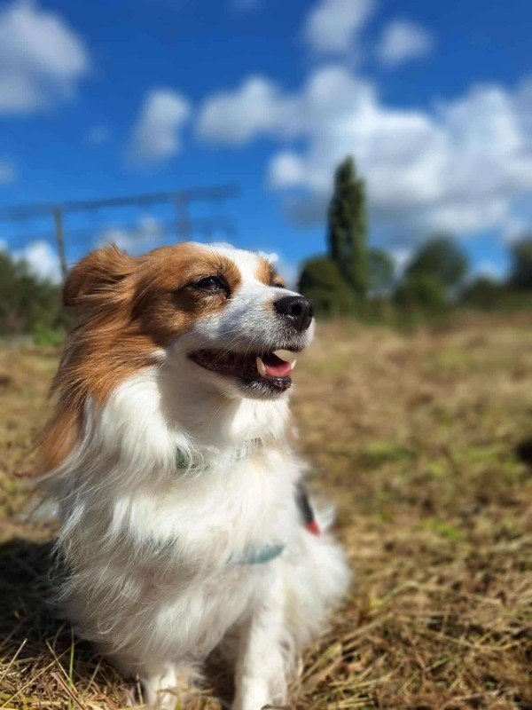 Sally