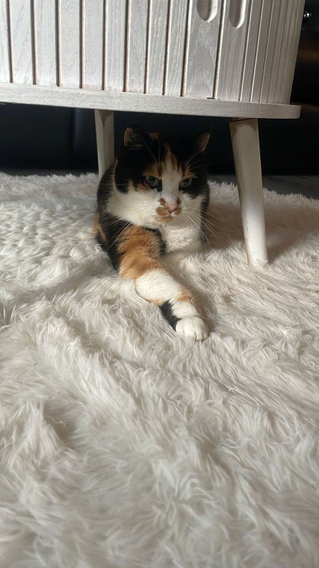 Chloe