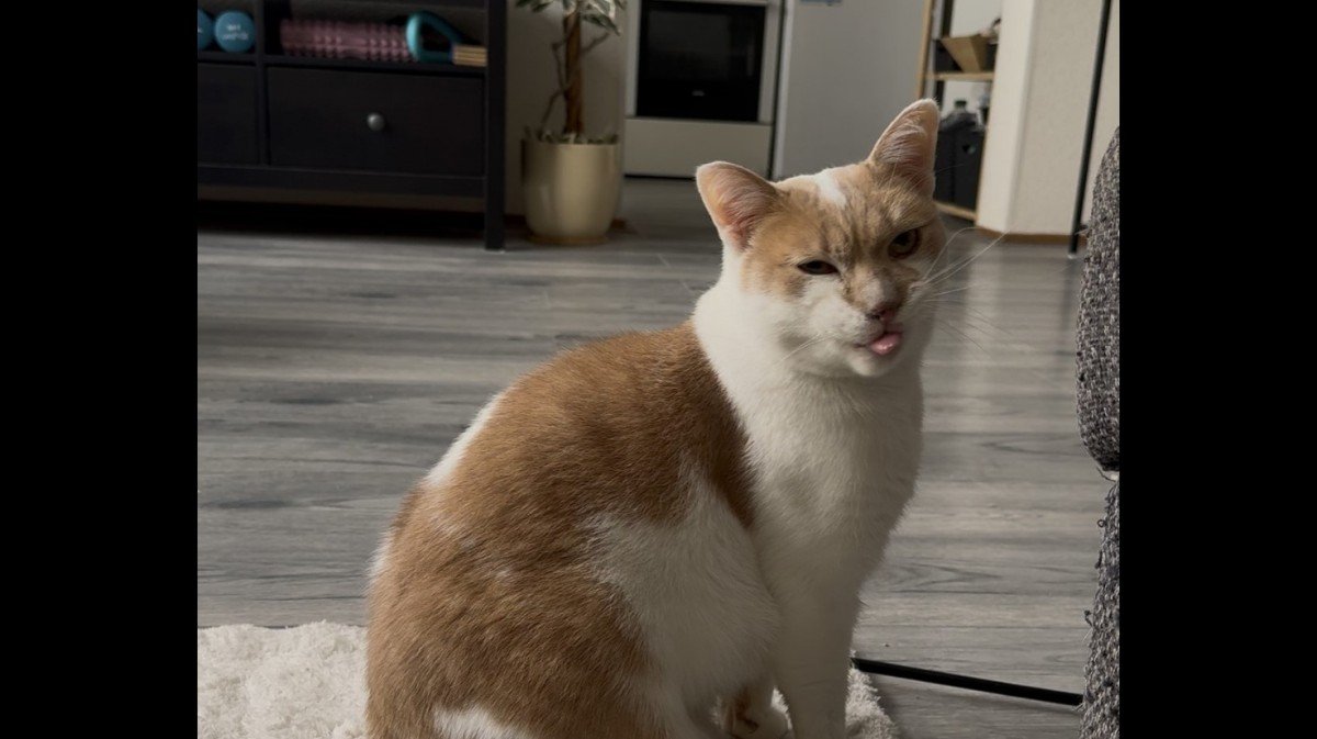 Fred