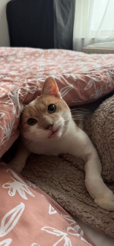 Fred