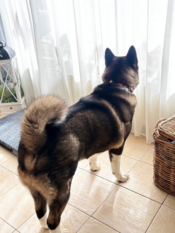 Skye