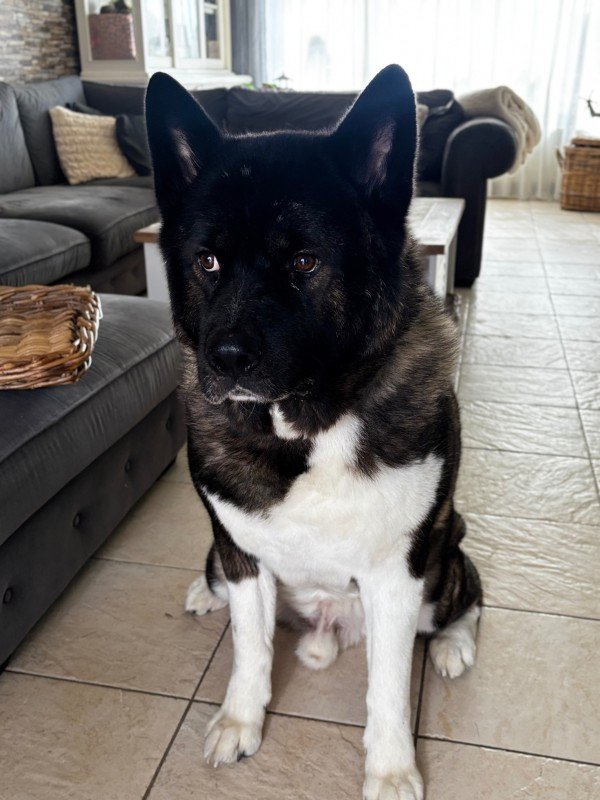 Skye