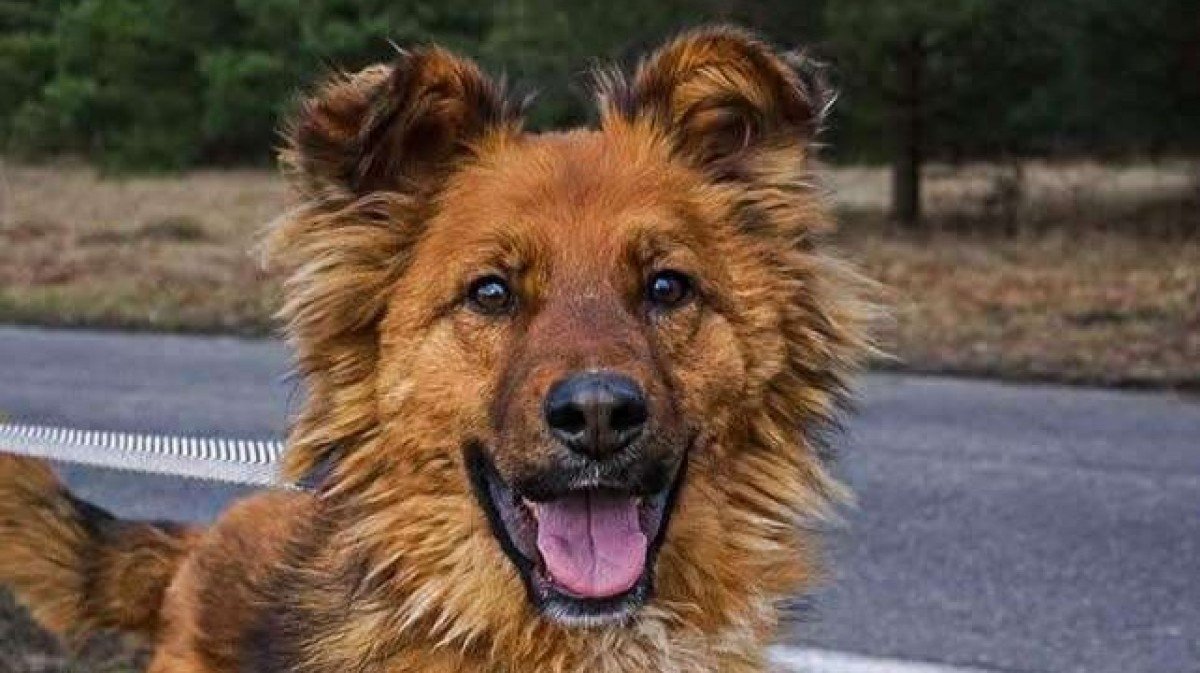 Laki