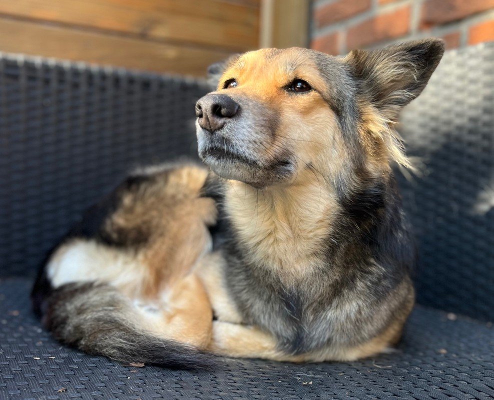 Luna
