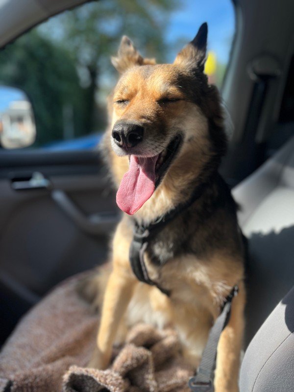 Luna