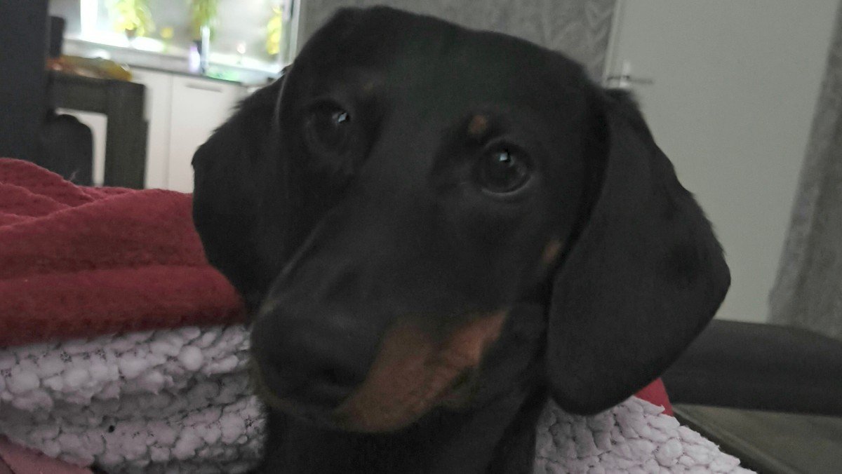 Sam