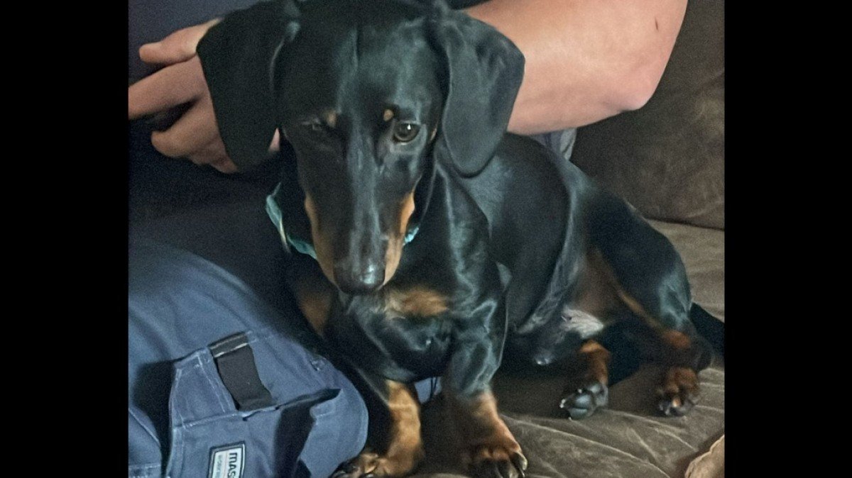Sam
