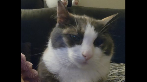 Bertha