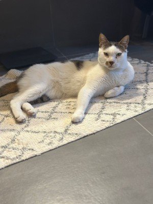 Coco