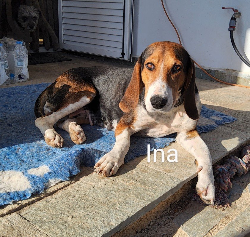 Ina