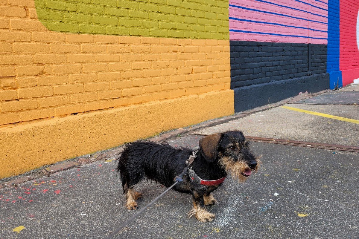 Roxy