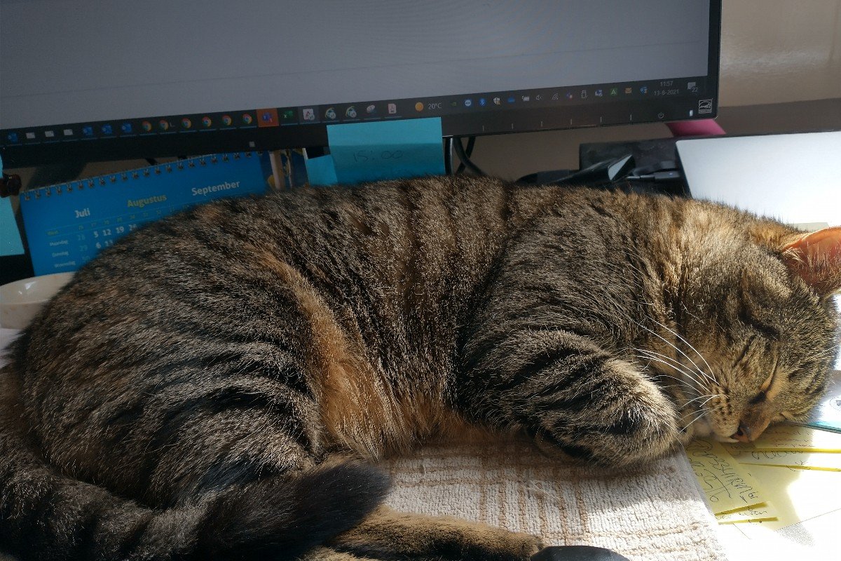 Poes (omgeving Gouda)