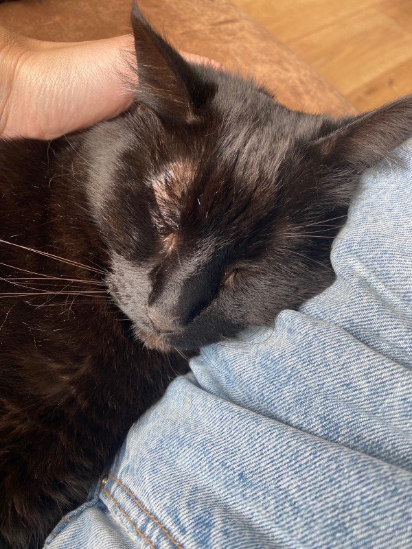 Sammy