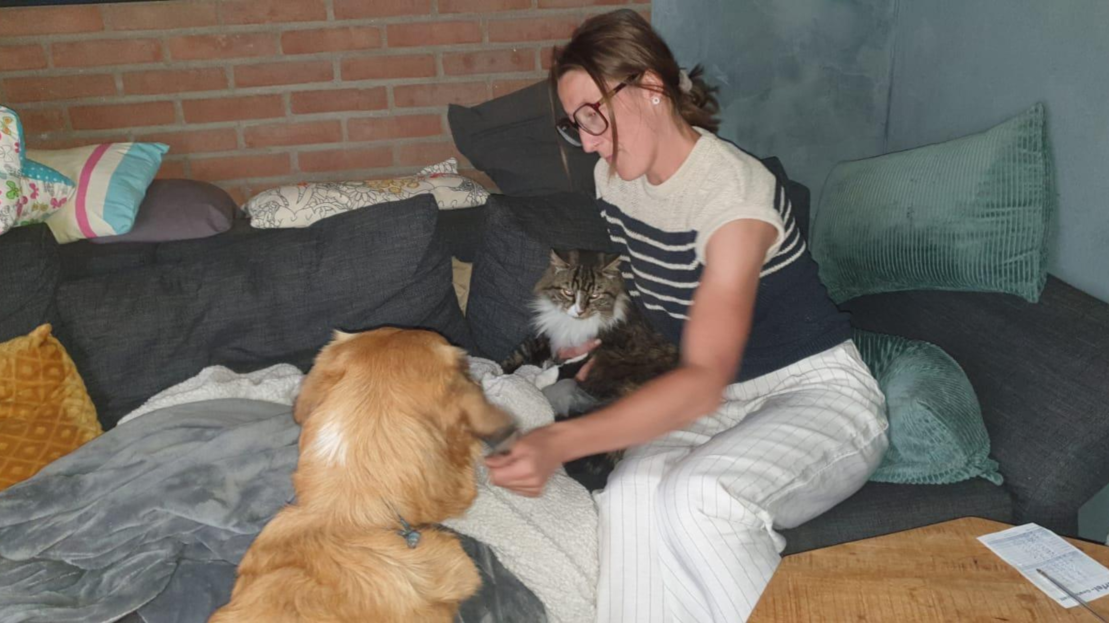 Imke de Haan