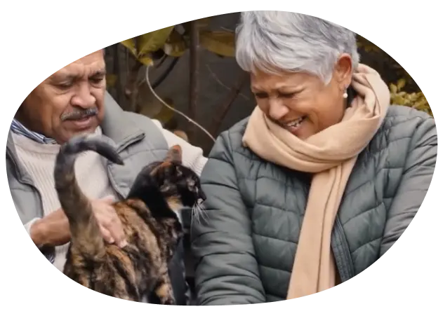 Verhuisdieren